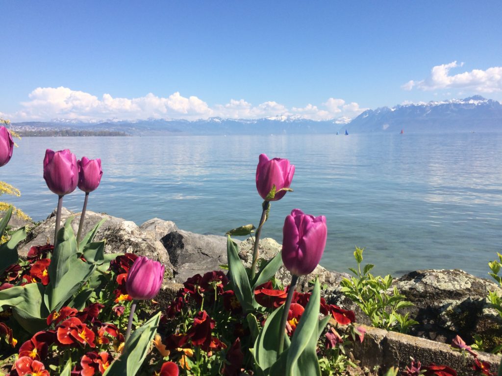 Primavera na Suíça